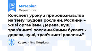 Конспект уроку з природознавства на тему "Будова рослини. Рослини – живі організми. Дерева, кущі, трав’янисті рослини.Якими бувають дерева, кущі, трав’янисті рослини."