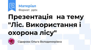 Презентація  на тему "Ліс. Використання і охорона лісу"