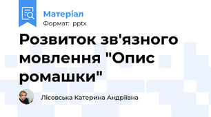 Розвиток зв'язного мовлення "Опис ромашки"