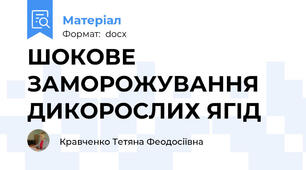 ШОКОВЕ ЗАМОРОЖУВАННЯ ДИКОРОСЛИХ ЯГІД