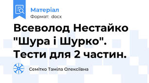 Всеволод Нестайко "Шура і Шурко". Тести для 2 частин.