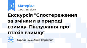 Екскурсія "Спостереження за змінами в природі взимку. Піклування про птахів взимку"