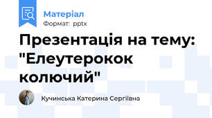 Презентація на тему: "Елеутерокок колючий"