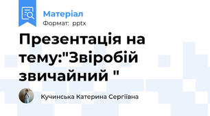 Презентація на тему:"Звіробій звичайний "