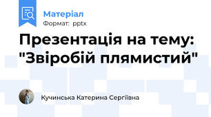 Презентація на тему: "Звіробій плямистий"