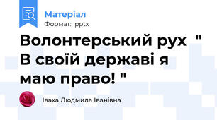 Волонтерський рух  " В своїй державі я маю право! "