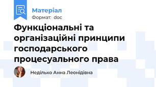 Функціональні та організаційні принципи господарського процесуального права