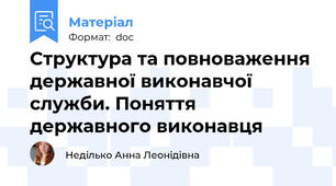 Структура та повноваження державної виконавчої служби. Поняття державного виконавця