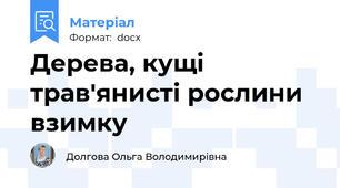 Дерева, кущі трав'янисті рослини взимку