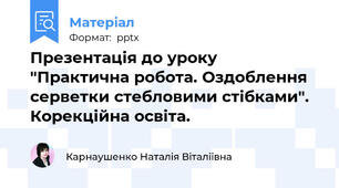 Презентація до уроку "Практична робота. Оздоблення серветки стебловими стібками". Корекційна освіта.
