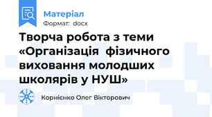 Творча робота з теми  «Організація  фізичного виховання молодших школярів у НУШ»