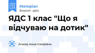ЯДС 1 клас "Що я відчуваю на дотик"