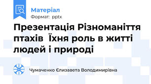 Презентація Різноманіття птахів  Їхня роль в житті людей і природі
