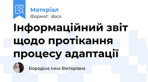 Інформаційний звіт щодо протікання процесу адаптації