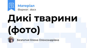 Дикі тварини (фото)