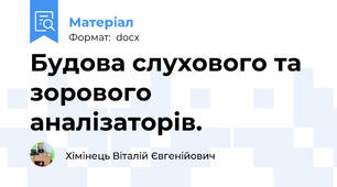 Будова слухового та зорового аналізаторів.