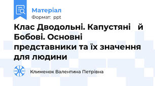Клас Дводольні. Капустяні й Бобові. Основні представники та їх значення для людини