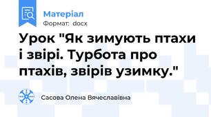 Урок "Як зимують птахи і звірі. Турбота про птахів, звірів узимку."
