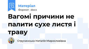 Вагомі причини не палити сухе листя і траву