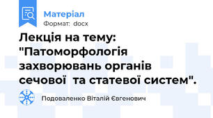 Лекція на тему: "Патоморфологія захворювань органів сечової  та статевої систем".