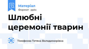 Шлюбні церемонії тварин