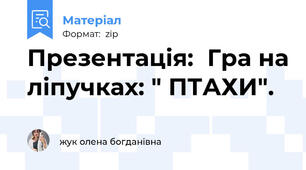 Презентація:  Гра на ліпучках: " ПТАХИ".