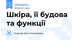 Шкіра, її будова та функції