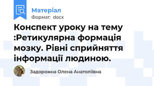 Конспект уроку на тему :Ретикулярна формація мозку. Рівні сприйняття інформації людиною.