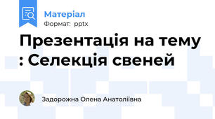 Презентація на тему : Селекція свеней