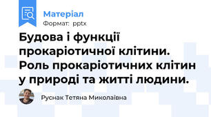 Будова і функції прокаріотичної клітини. Роль прокаріотичних клітин у природі та житті людини.
