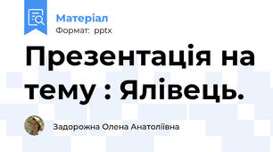 Презентація на тему : Ялівець.