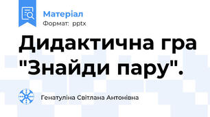Дидактична гра "Знайди пару".