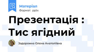 Презентація : Тис ягідний