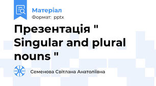Презентація " Singular and plural nouns "