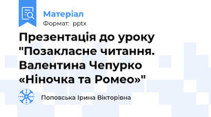 Презентація до уроку "Позакласне читання. Валентина Чепурко «Ніночка та Ромео»"