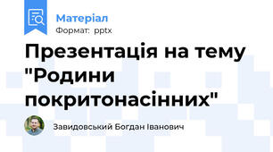 Презентація на тему "Родини покритонасінних"