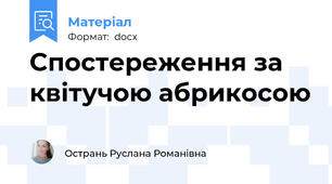 Спостереження за квітучою абрикосою