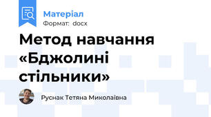 Метод навчання «Бджолині стільники»