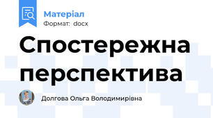 Спостережна перспектива