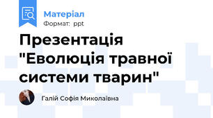 Презентація "Еволюція травної системи тварин"
