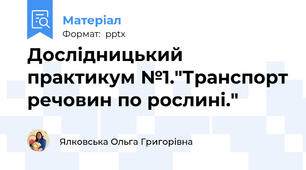 Дослідницький практикум №1."Транспорт речовин по рослині."