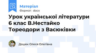 Урок української літератури 6 клас В.Нестайко Тореодори з Васюківки