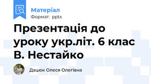 Презентація до уроку укр.літ. 6 клас В. Нестайко