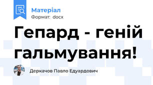Гепард - геній гальмування!