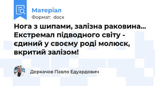 Нога з шипами, залізна раковина... Екстремал підводного світу - єдиний у своєму роді молюск, вкритий залізом!