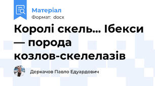 Королі скель... Ібекси — порода козлов-скелелазів