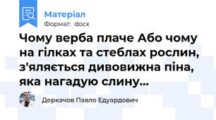 Чому верба плаче Або чому на гілках та стеблах рослин, з'яляється дивовижна піна, яка нагадую слину...