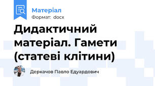 Дидактичний матеріал. Гамети (статеві клітини)