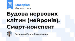 Будова нервових клітин (нейронів). Смарт-конспект