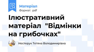 Ілюстративний матеріал  "Відмінки на грибочках"